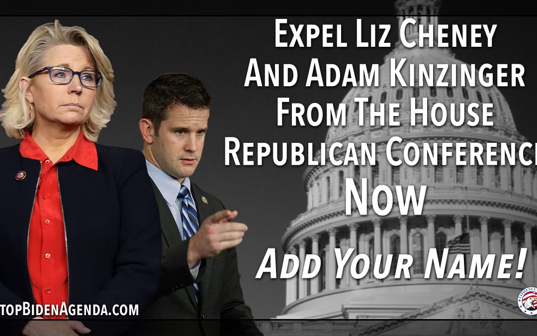 Petition – Expel Cheney & Kinzinger Now!